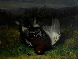 3029 Abel Hold (1815-1891). Red Grouse in moorland heather