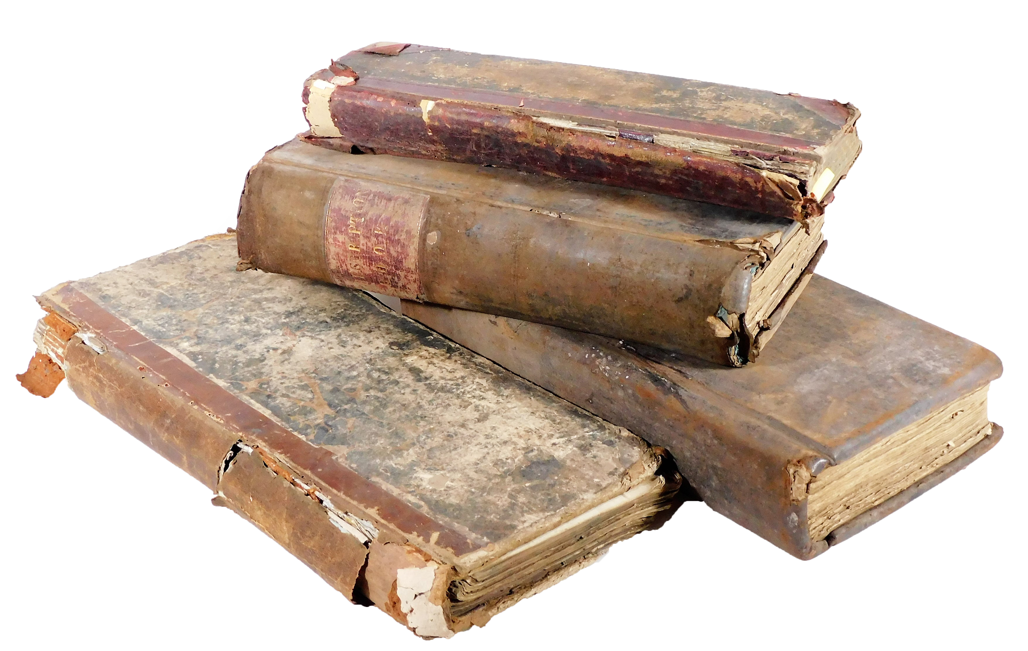 Doctor In The (Auction) House Image