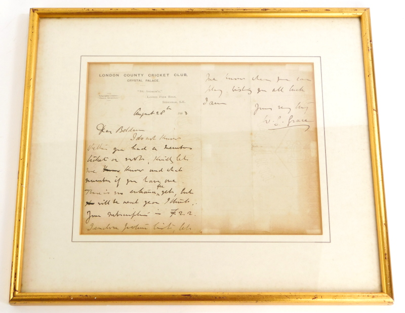 Ozwat for a Collection Image