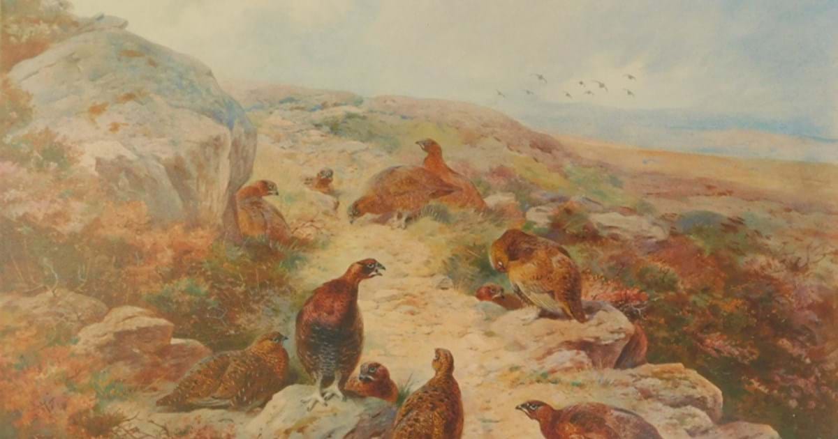 Archibald Thorburn Image