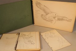Lot 182-4