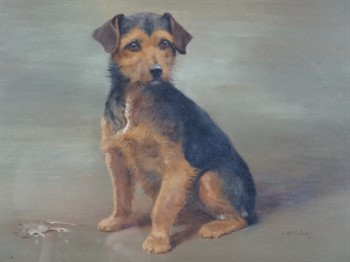 Thumbnail _lot 11 Terrier in oil